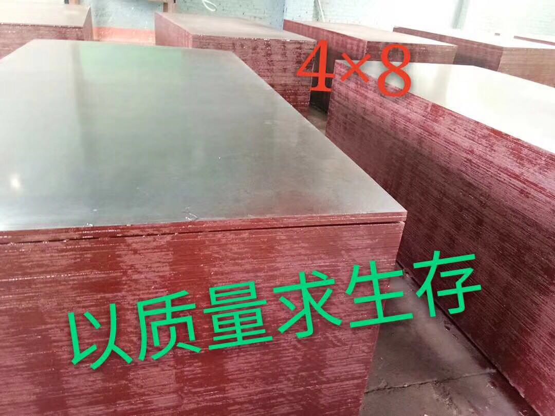 工廠實(shí)拍