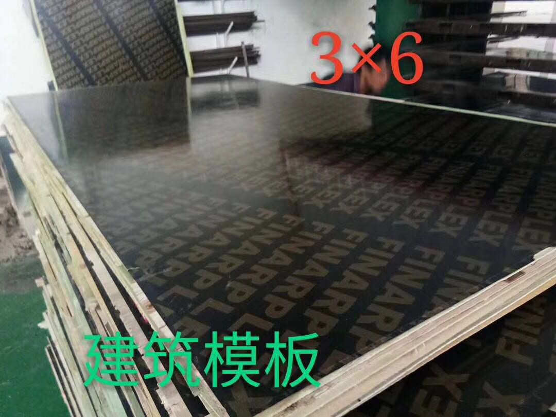 工廠實(shí)拍